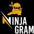 Ninja Download Manager [46] Crack With Key Full Version Free Download [Updated]